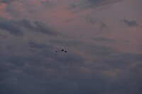 https://images.plurk.com/2Cn5cPdcfmWr787YlOgWJh.jpg