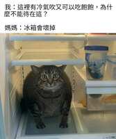 https://images.plurk.com/2CoEV62Yb2iHmruqmpY7rc.jpg