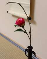 https://images.plurk.com/2CoojrcMVi0Dy9FyGI9CNs.jpg