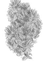 https://images.plurk.com/2D391JRTNznRlXkWayRiiY.png