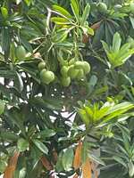 https://images.plurk.com/2D95bMJ4rIe78dqDgJM5I0.jpg