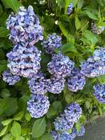 https://images.plurk.com/2DCkb237x2A9es7QTTGnm8.jpg