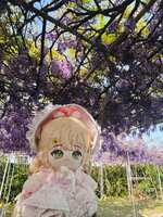 https://images.plurk.com/2DLNw67tMF5rno25DLvvXF.jpg