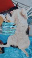 https://images.plurk.com/2DNbkVL3OcPzGubYSUxMx5.jpg