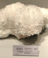 https://images.plurk.com/2DrjDSiSWlRTbmDr854zOk.jpg