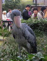 https://images.plurk.com/2E64zKL2LWdQaGPlb1jvKa.jpg