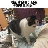 https://images.plurk.com/2ECYCEwKeumSUYMdlK1Sbg.jpg