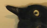 https://images.plurk.com/2EDVFWjgviLmSqsxSP7snB.jpg