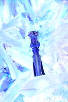 https://images.plurk.com/2EHATQ5a3Xb6lorOgXUM0W.jpg