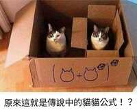 https://images.plurk.com/2ELnBWLRZs0QmmrbHNsUE0.jpg