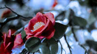 https://images.plurk.com/2ERONFwD6TlvYy8OhCDVZa.jpg