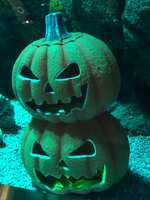 https://images.plurk.com/2EbxvjldI6HdAHvfEXC5yk.jpg