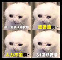 https://images.plurk.com/2Ef4OrZpTkCA5VRlW4ecor.jpg