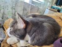 https://images.plurk.com/2EsVY1MND7ckVe2C2qUeyl.jpg