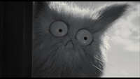 https://images.plurk.com/2Etku0C6CkSfVzpYqBRUha.jpg