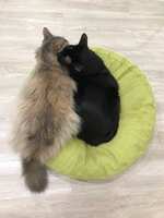 https://images.plurk.com/2EuG18f5WFFJNdlGAkdi0o.jpg
