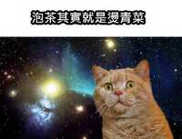 https://images.plurk.com/2FFACI0NEzBqZDAY9KX5Kn.jpg