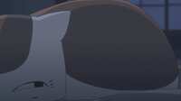https://images.plurk.com/2FIpQj52odO9nvdOJtBL3H.png