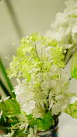 https://images.plurk.com/2FKLksVc7drG7OMai5Bipe.jpg
