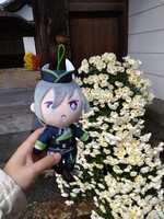 https://images.plurk.com/2FL1ePQx00WGDq1u7NIUrI.jpg