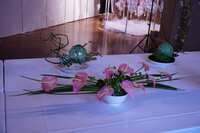 https://images.plurk.com/2FPjFzqbgxn2uInLoJrkso.jpg