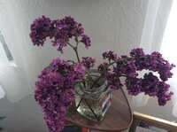 https://images.plurk.com/2FYMDmH82Soa1nYkEteIVd.jpg