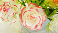 https://images.plurk.com/2FaOzoOWCKtFdGnVca4Gi.jpg