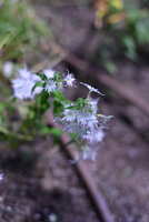 https://images.plurk.com/2Fh577wMRzA2NECaJUTGxq.jpg