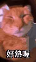 https://images.plurk.com/2Fk6aLS5uX0DfjaZYU1f9S.gif