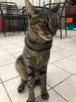 https://images.plurk.com/2Fts3IAk70wm7sNcblNcKg.jpg