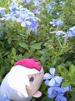 https://images.plurk.com/2FwHNUTUFsbqSzpVE8E0Ba.jpg
