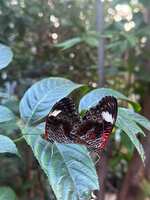 https://images.plurk.com/2FyH8jpMIVfmOVtUv54KJM.jpg