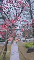 https://images.plurk.com/2G1khuo3KLEwI24Tqv2f0z.jpg