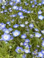 https://images.plurk.com/2G49HXSPi6SOMC9BcsM95J.jpg