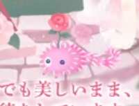 https://images.plurk.com/2G6w7yuEjfuSLBGQ7ydvf2.png