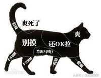 https://images.plurk.com/2GKCqXZ8Zr3jDQfnSbMfm.jpg