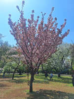 https://images.plurk.com/2GRg2527sYhdcYgUgxrDlt.jpg