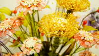 https://images.plurk.com/2Gl6ZYG2ugSYgqFu77DRgL.jpg