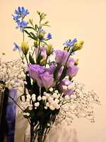https://images.plurk.com/2Gu7YxpEeD2SKbMNsqfcGS.jpg