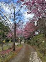 https://images.plurk.com/2HJAl5jXN4Pd9QBk7jzET6.jpg