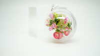 https://images.plurk.com/2HJJhmGCCrVVH7ZfHDtvPI.jpg