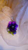 https://images.plurk.com/2HKlu2mh0QJ6UlrHS9Kjxj.jpg