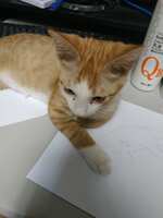 https://images.plurk.com/2HO1V9m8o7EH5ppdubTYsD.jpg