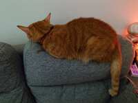 https://images.plurk.com/2HU3INnCOfi44xpD87Vv29.jpg