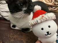 https://images.plurk.com/2HWu97q7T3M09gBTDALCkd.jpg