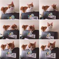 https://images.plurk.com/2Hb8nUo78m0FAb8BvcSbRN.jpg