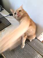 https://images.plurk.com/2He3opjSCrJVewbSjE7E0q.jpg