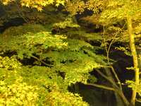 https://images.plurk.com/2HeJ6Tv8S3sKBUgIwBKcGL.jpg