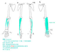 https://images.plurk.com/2HsZcbrzNU52Y0v3cgvcYv.jpg