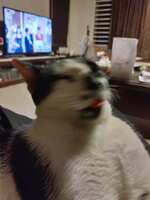 https://images.plurk.com/2Hsb9UODQS4a4JBWC0WoyD.jpg